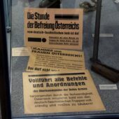  Sproing Pics (41/123)